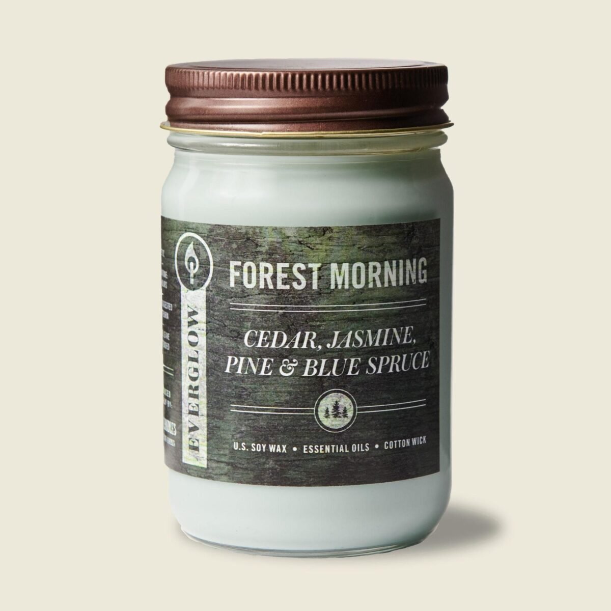 Forest Morning
